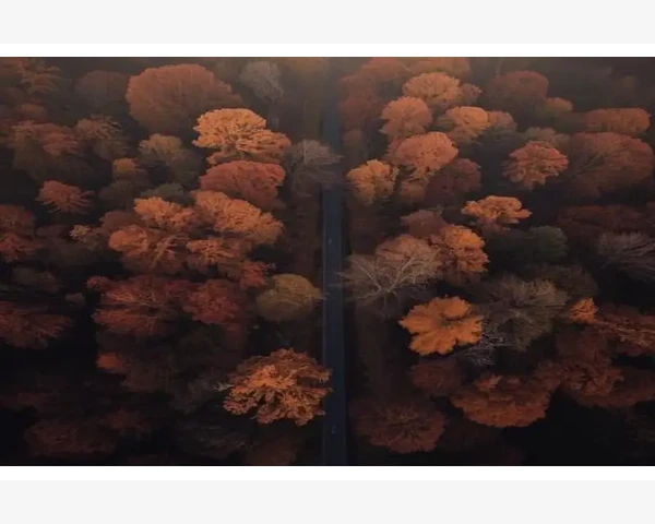 中医经典：咽炎，患者的福音