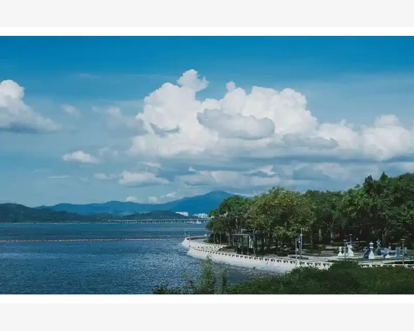 夏至养生：流传千年的传统与中医智慧