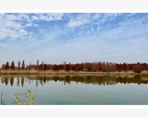 夏至养生：探索世界民间传统的智慧