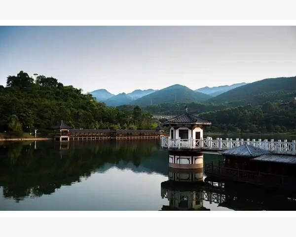 气血不足女性的食疗智慧：补益肌肤，焕发活力